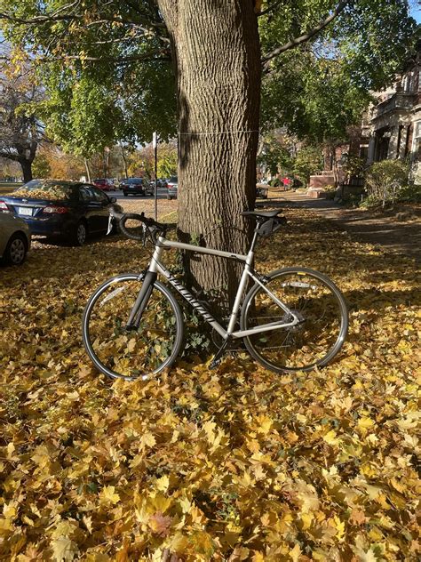 Specialized Allez E5 SLX Comp