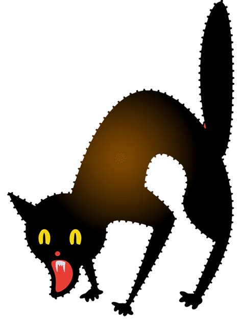 Black Cat Clipart Transparent Background 9 Clipartlib