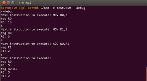 xsm execution environment