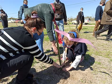 Plantat N Rboles Nativos Plantados En Colonia Programa De Las