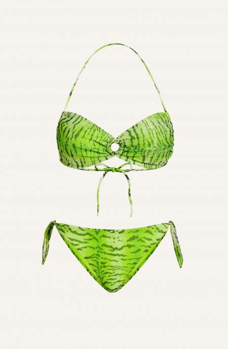 Bikini Bandeau Acolchado Slip Crepon Lamé Print Tiger