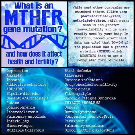 Everyone Should Know Whether They Have The Mthfr Gene Especially Women