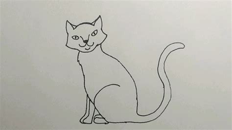 How To Draw A Cat Youtube