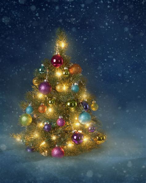 Symbolic Meaning Of The Christmas Tree On Whats Your Sign