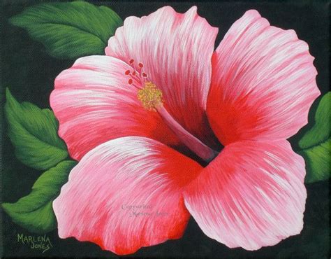 Hibiscus Flower Painting