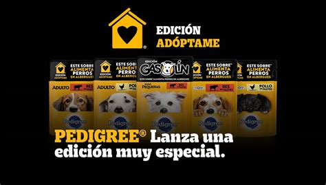 Ayuda A Los Perritos De Albergues Con La Nueva Edición Adóptame De