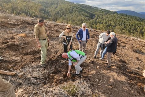 Icnf Norte Assinala Dia Internacional Das Florestas Em Cabeceiras De Basto