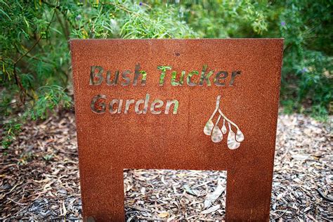 Creating An Indigenous Plant Use Garden Vision Junior Landcare