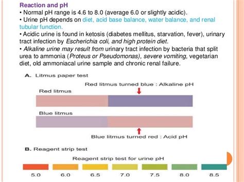 Urine Ph Normal Range - Urinalysis : An easy way to fix this would be ...