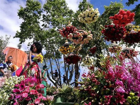 Festa Da Flor Na Madeira últimos Dias Com Concertos E Animação