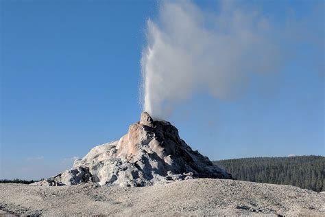 Home - Yellowstone Tours