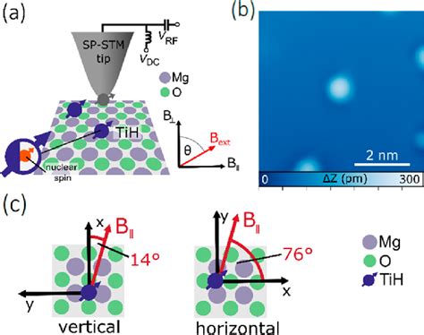 Electron Spin Resonance In A Scanning Tunneling Microscope With A Download Scientific Diagram