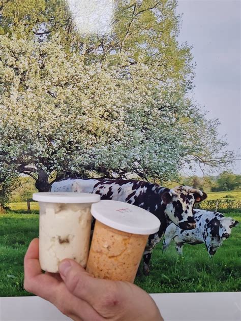 Duo P Tits Fromage Tartiner Figue Ciboulett U Ferme De L Aiguillonni Re Locavor Fr