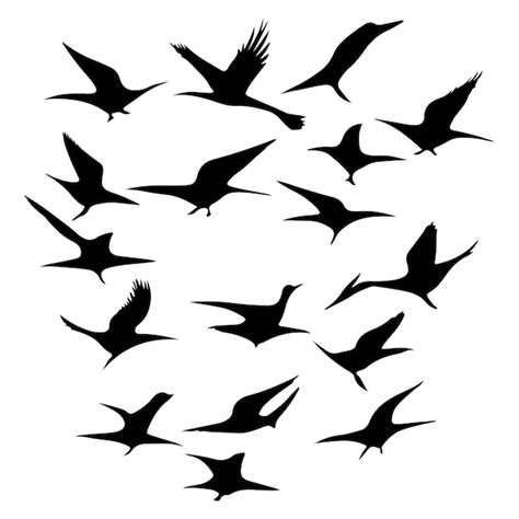 Premium Vector A Beautiful Flock Of Flying Birds Silhouette Vector