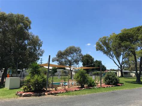 Junee Tourist Park Caravan And Camping Nsw