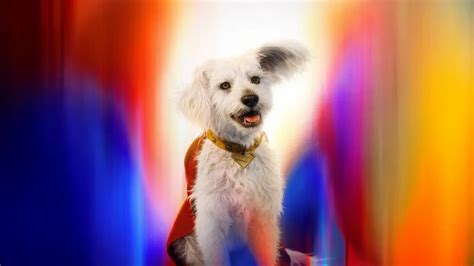 Who Is Krypto Superdog: Origins, Powers, Abilities, and DCEU Future ...