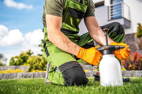 How To Use Fungicide On Your Lawn Grass Master