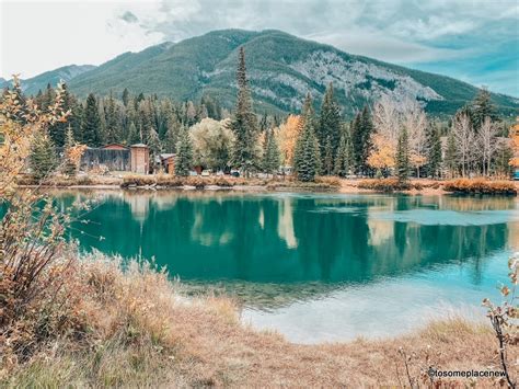 Banff In The Fall Why It Is The Best Time To Visit Tips Tosomeplacenew