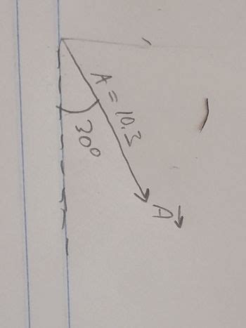 Answered Assuming The X Axis Is Horizontal And Bartleby