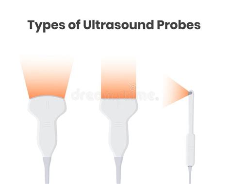 Ultrasound Probe Types Linear Curvilinear And Phased Array 40 OFF