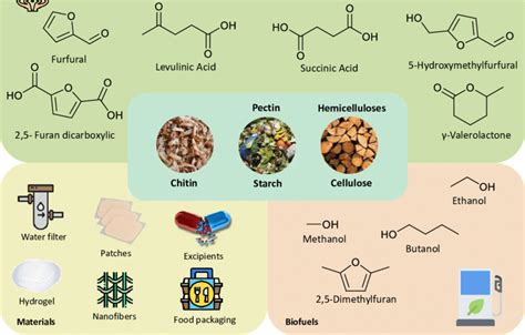 Biomass Examples