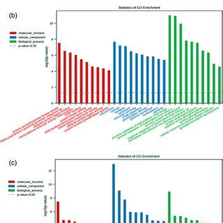 Differential Expression Profile Of Micrornas Mirnas In The Control