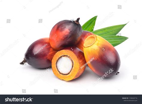 Palm Oil Fruits Hi Res Stock Photography And Images Page 11 Alamy