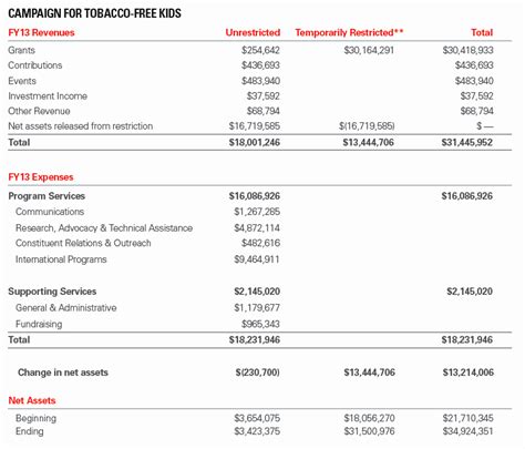 Audited Financial Statements Template