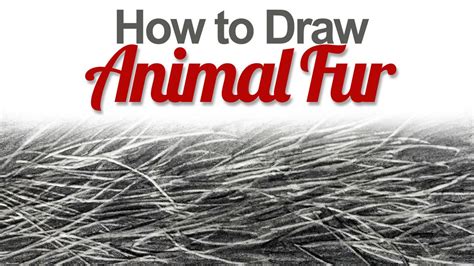 How To Draw Animal Fur Youtube