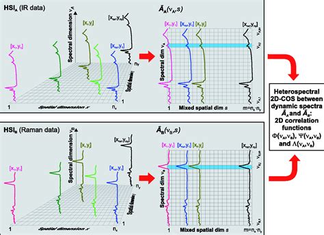 Two Dimensional Correlation Spectroscopy 2d Cos For Analysis Of Spatially Resolved Vibrational