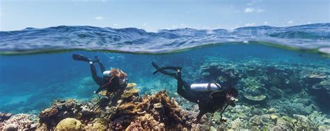 Scuba Diving the Great Barrier Reef