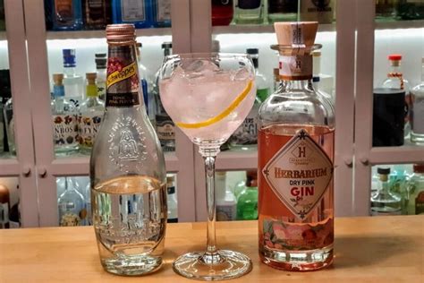 Gin Og Tonic Med Herbarium Dry Pink Gin Alt Om Gin