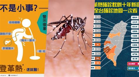 台灣登革熱 長者症狀奇異、重症風險攀升 揭露5大非典型症狀、7大警示徵象！ 17懶人包