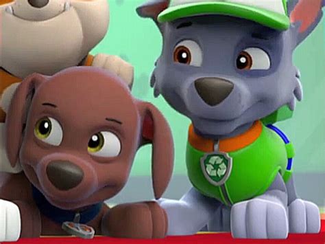 Rocky And Zuma Paw Patrol Fan Universe Wiki Fandom