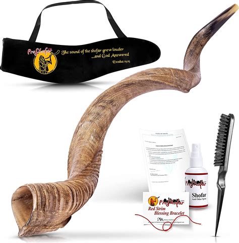 Buy Israel Shofar Set Natural Kudu Horn Shofar Kosher Shofar Yemenite