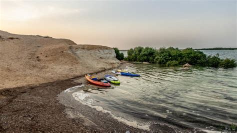 The Mangroves Of Qatars Al Thakira Cnn