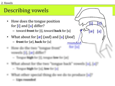 SOLUTION 03 Vowels Fromkin Studypool