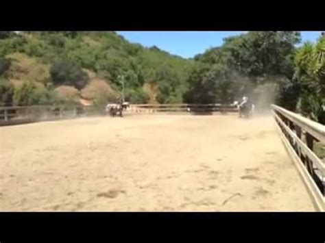 Back For You One Direction Dressage Quadrille YouTube