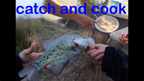 Cedar Bluff Kansas Crappie White Bass Catch And Cook Fishing Series 1