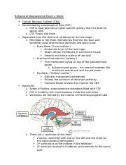 Behavioral Neuroscience Exam 1 Notes Docx Behavioral Neuroscience