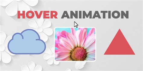 animation  hover nicepage  center