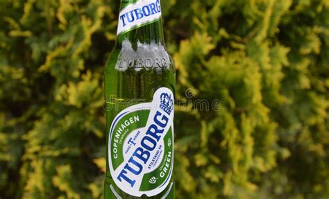 Tuborg Bottle of Beer on Green Background Editorial Stock Photo - Image ...