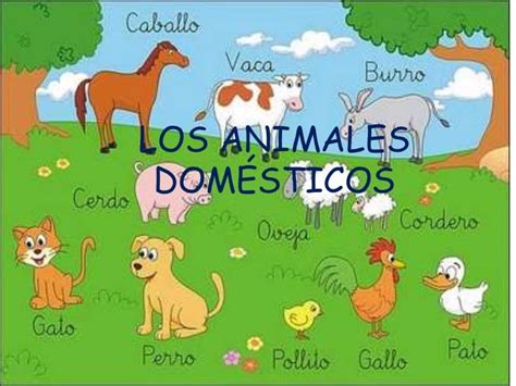 Los animales domesticos