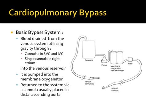 Cardiopulmonary bypass