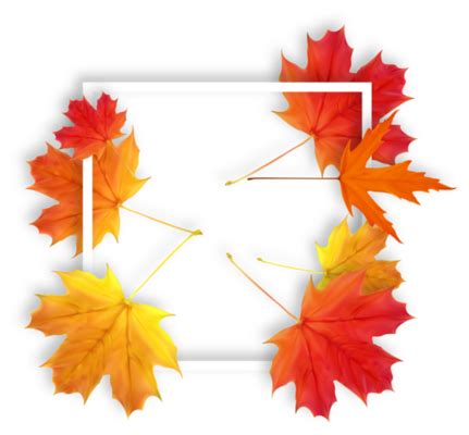 Fall Leaves PNGs for Free Download