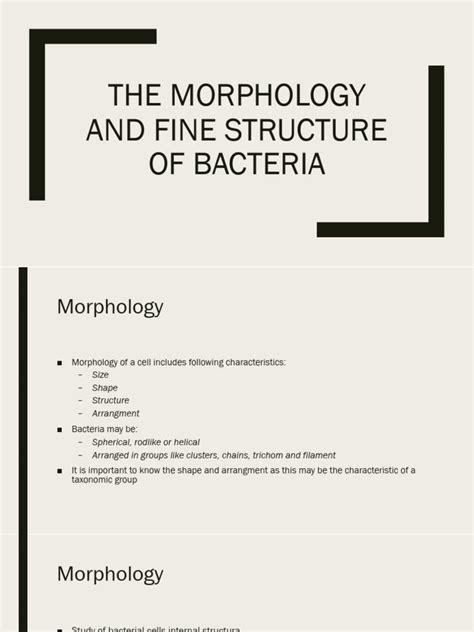 Bacterial Size Shape And Arrangement Pdf Bacteria Cell Biology