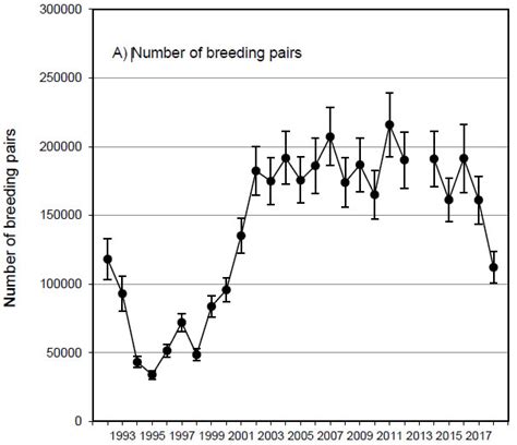 Njdep Division Of Fish And Wildlife Canada Goose Harvest Management In