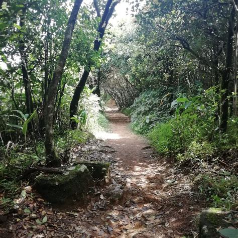 Knuckles Mountain Range Hiking Day Tour from Kandy - knuckles mountain