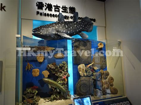 Woodside Biodiversity Education Centre in Hong Kong - Complete Visitor