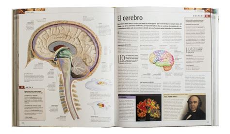 Dk Ciencia La Guia Visual Definitiva Tapa Dura Cuotas Sin Interés